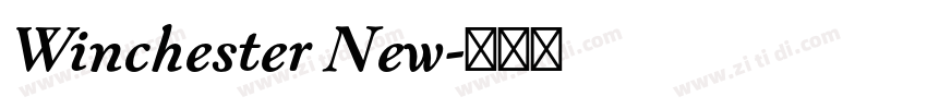 Winchester New字体转换